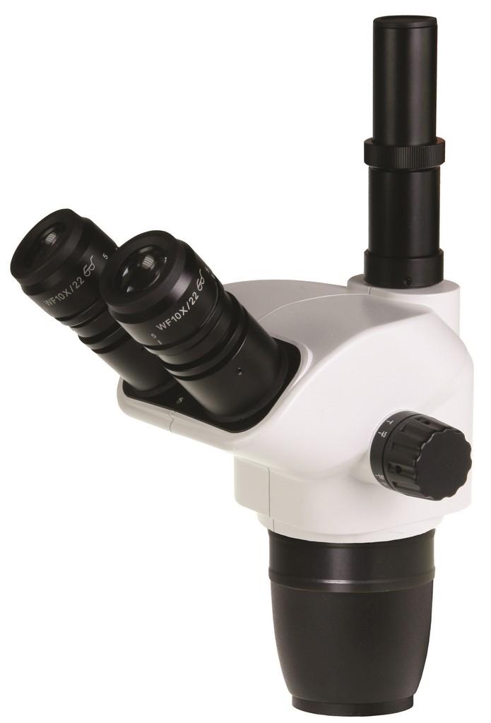 Euromex NZ.5303 microscope accessory Head